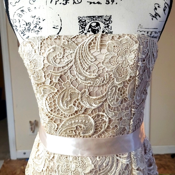 Adrianna Papell Evening Dress - Picture 3 of 15